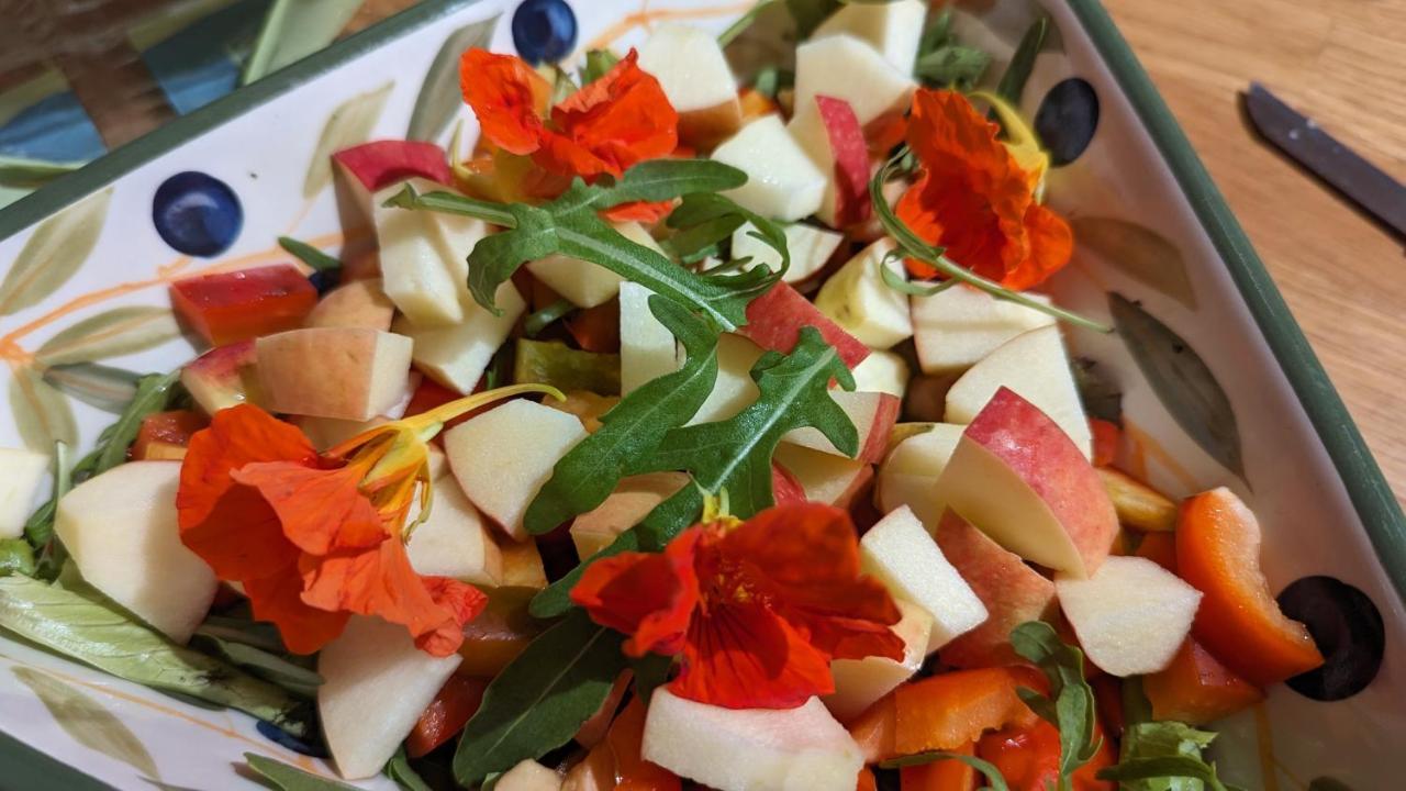 Sant'Omero Bed And Breakfast La Pecora Rosa מראה חיצוני תמונה